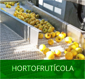 bandas sector hortifruticola